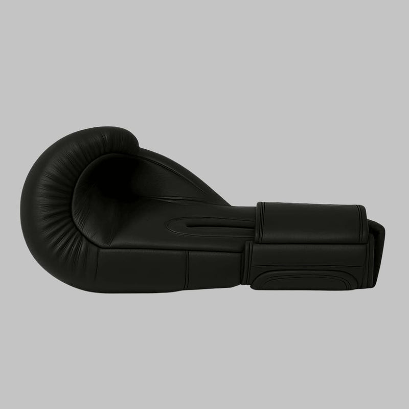 Gants de boxe LASTSTAND
