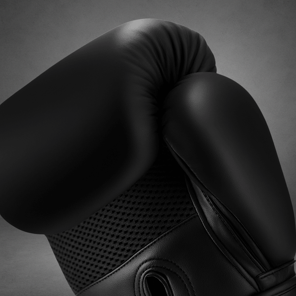 Gants de boxe LASTSTAND