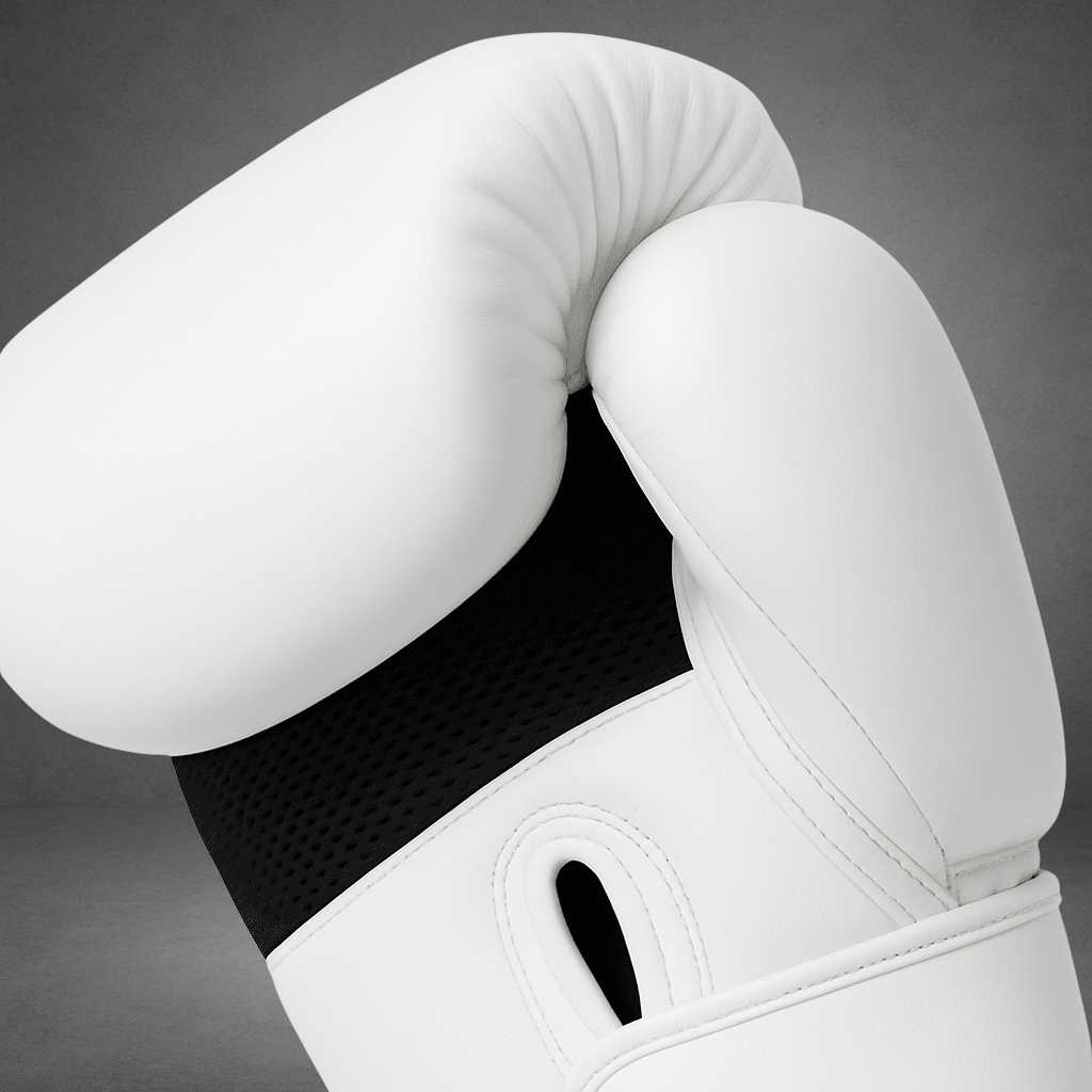 Gants de boxe LASTSTAND