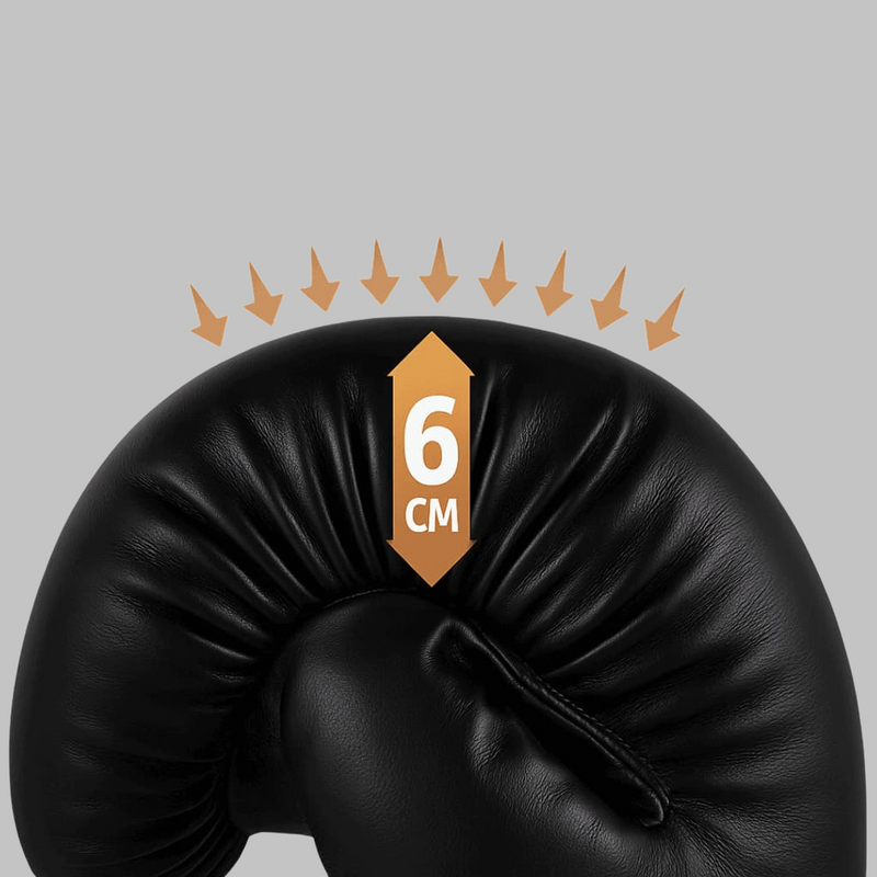 Gants de boxe FIVING
