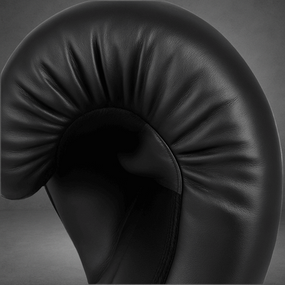 Gants de boxe LASTSTAND