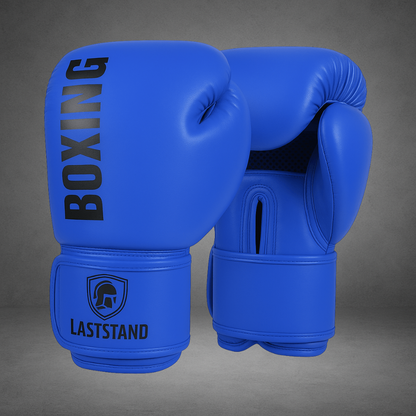 Gants de boxe LASTSTAND