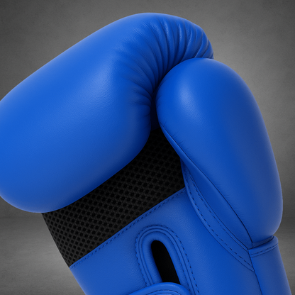 Gants de boxe LASTSTAND