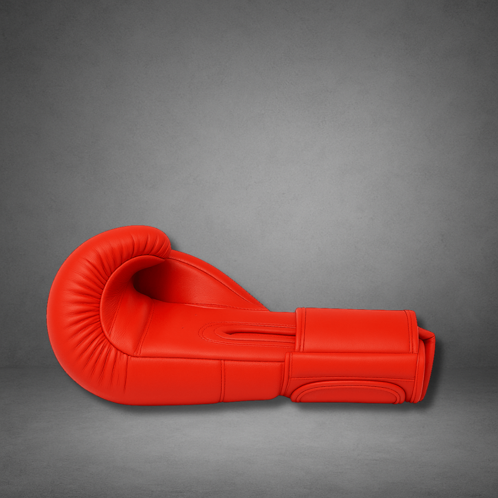 Gants de boxe LASTSTAND