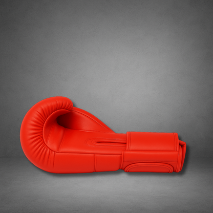 Gants de boxe LASTSTAND