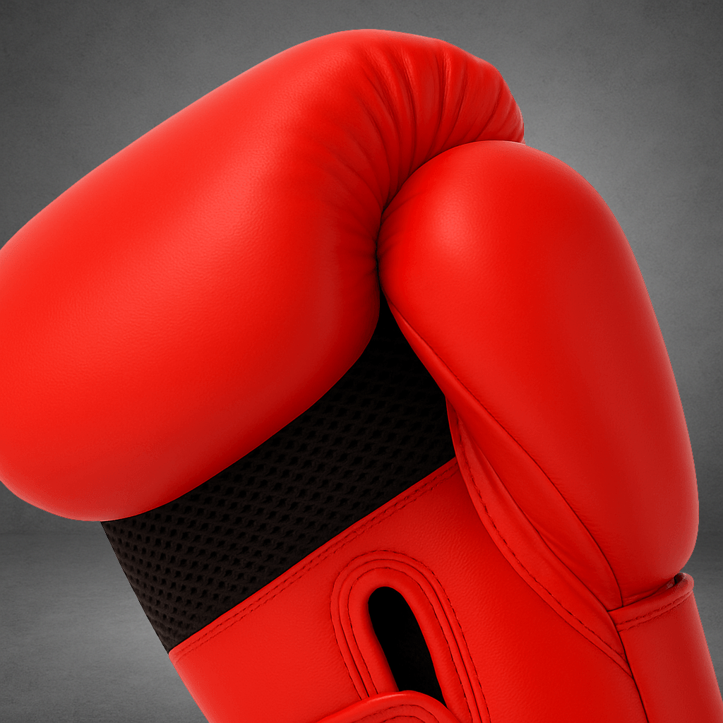 Gants de boxe LASTSTAND