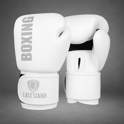 Gants de boxe LASTSTAND