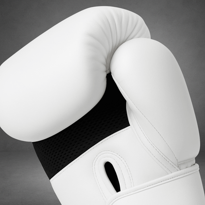 Gants de boxe LASTSTAND